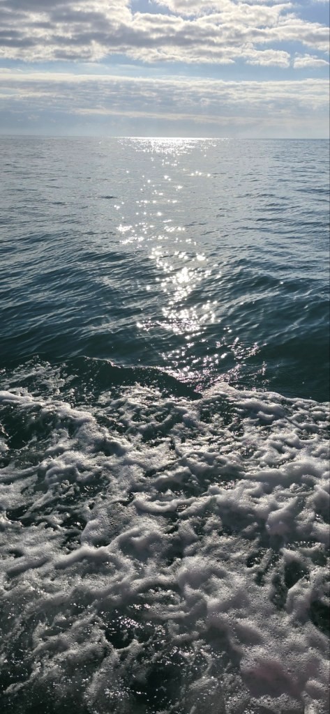 image_3.jpg